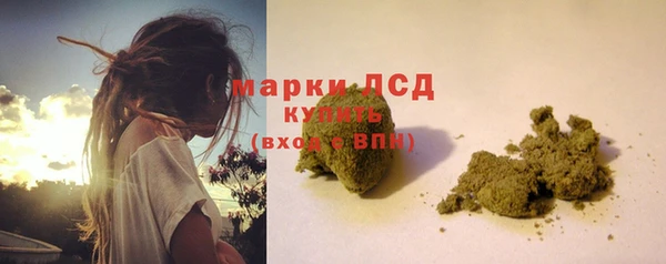 шишки Алзамай