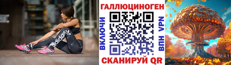 ссылка на мегу как войти  Котовск  Галлюциногенные грибы Psilocybe 